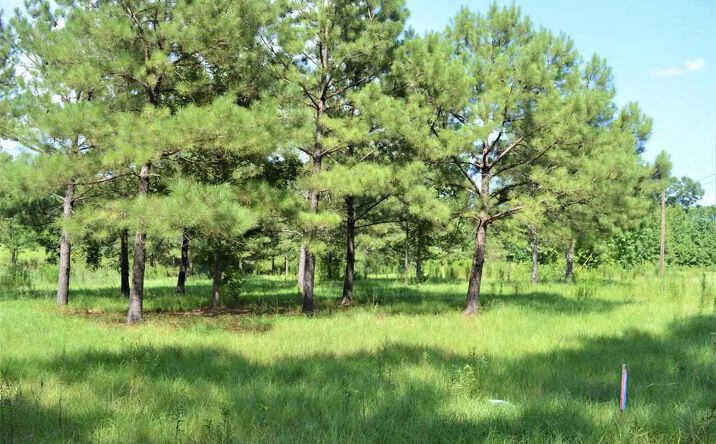 Pictures of Land property located at Biltmore Drive, 70125, MS 39648 for sales - image #1