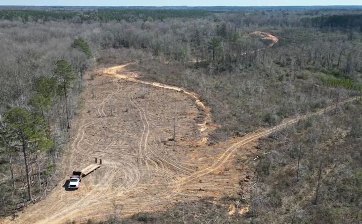 Pictures of Land property located at Blazo Road, 70409, MS 39657 for sales - image #1
