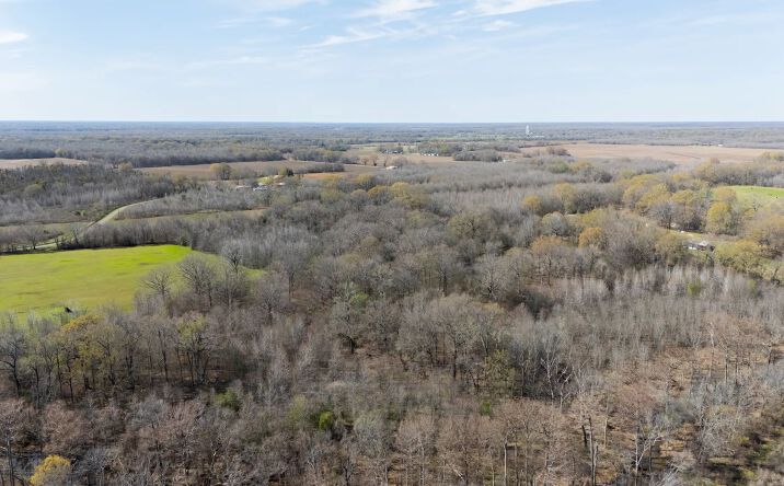 Pictures of Land property located at Chickasaw Loop Road, 51479, LA 71263 for sales - image #1