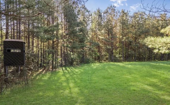 Pictures of Land property located at LA Hwy 43, 50537, LA 70438 for sales - image #1
