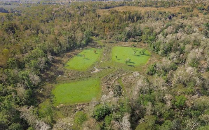 Pictures of Land property located at Red Bluff Church Road, 50537, LA 70441 for sales - image #1