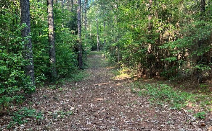 Pictures of Land property located at Fox Camp Road, 50244, LA 71238 for sales - image #1