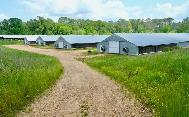 Pictures of Land property located at 2060 Swilley Road, 71226, MS 39191 for sales - image #1
