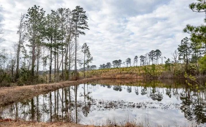 Pictures of Land property located at Hwy 151, 50285, LA 71241 for sales - image #1