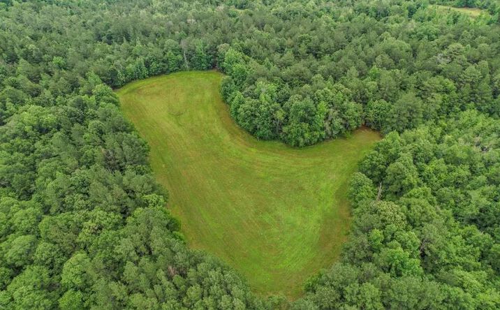 Pictures of Land property located at 115 Wilderness Run, 70592, MS 39401 for sales - image #1