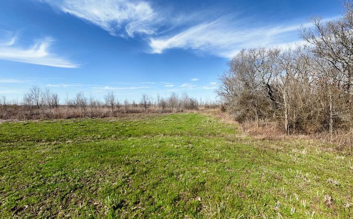 Pictures of Land property located at 000 Highway 585, 51479, LA 71263 for sales - image #1