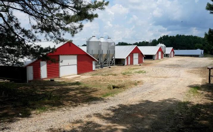 Pictures of Land property located at 10331 Road 169, 68977, MS 39051 for sales - image #1