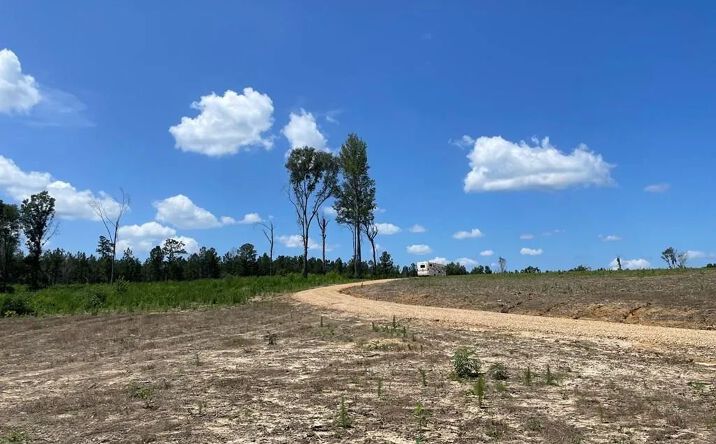 Pictures of Land property located at 35372 Martin Road, 51347, LA 70450 for sales - image #1