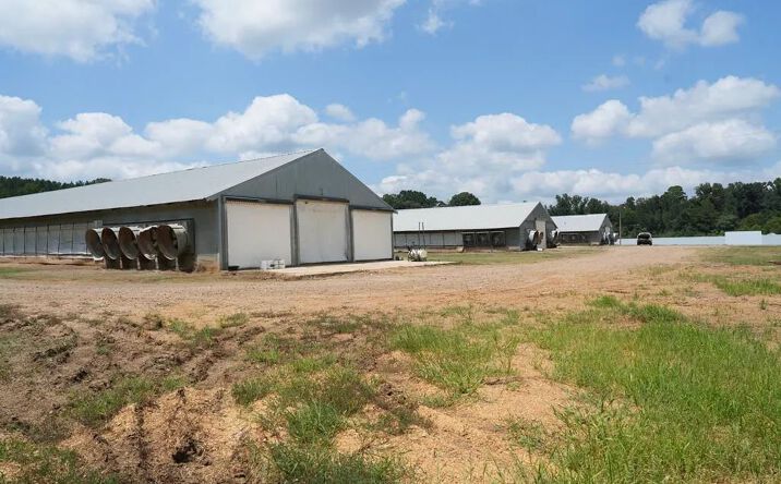 Pictures of Land property located at 10671 Hwy 427, 70486, MS 39350 for sales - image #1