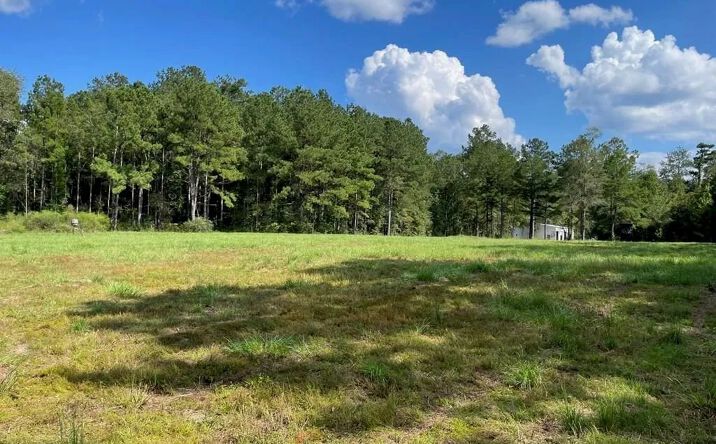 Pictures of Land property located at 16 Old Hwy 35 South, 70759, MS 39479 for sales - image #1