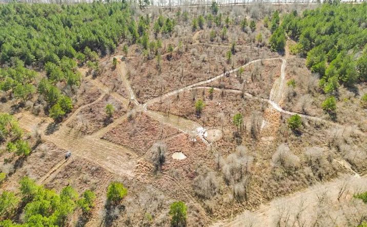 Pictures of Land property located at 1218 Duty Ferry Road, 50239, LA 71425 for sales - image #1