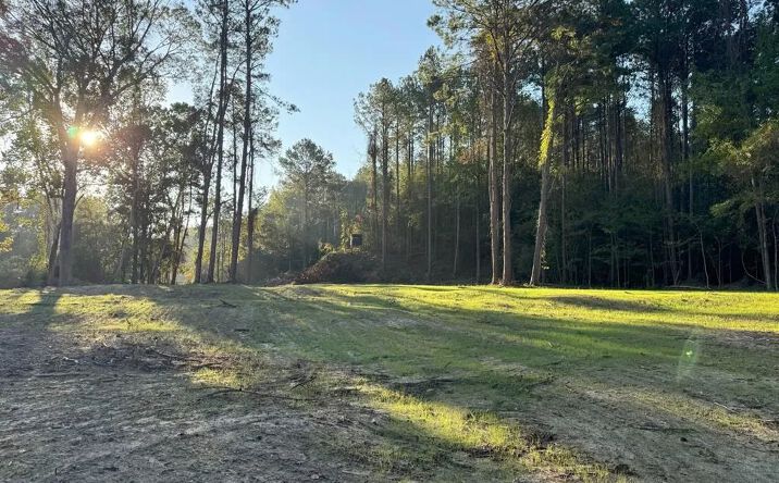 Pictures of Land property located at MS Hwy 33, 69153, MS 39633 for sales - image #1