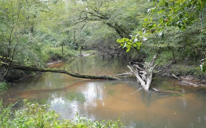 Pictures of Land property located at 52 JW Pigott Road, 71112, MS 39667 for sales - image #1