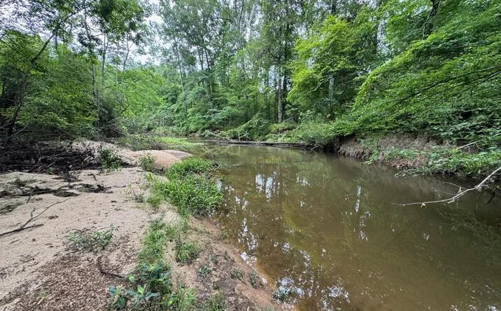 Pictures of Land property located at Hamp Lea Road, 70065, MS 39652 for sales - image #1