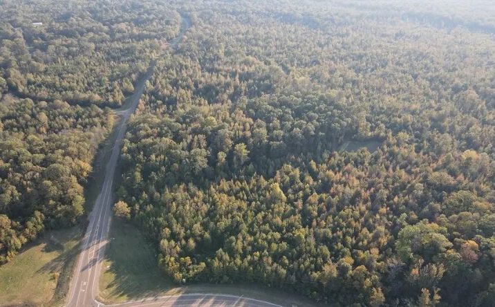 Pictures of Land property located at St. Thomas Parkway, 69073, MS 39056 for sales - image #1