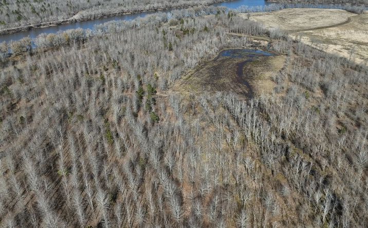 Pictures of Land property located at 262 C Bar Ranch Road, 50823, LA 71343 for sales - image #1
