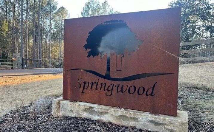 Pictures of Land property located at Springwood Trail – Lot 11, 69431, MS 39071 for sales - image #1