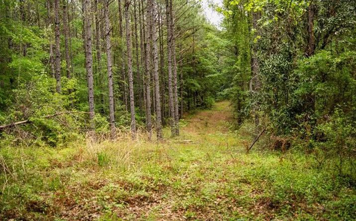 Pictures of Land property located at 2683 Highway 33, 69153, MS 39633 for sales - image #1