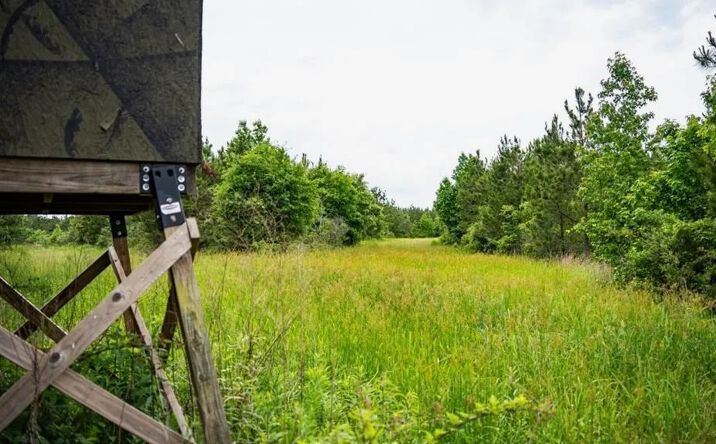 Pictures of Land property located at 7399 Amon Hill Road, 49429, LA 71220 for sales - image #1
