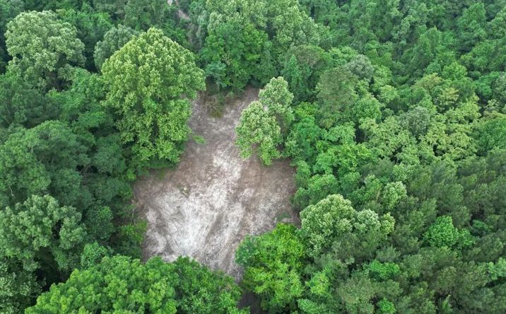 Pictures of Land property located at 1 Old Hamburg Roxie Road, 70721, MS 39661 for sales - image #1