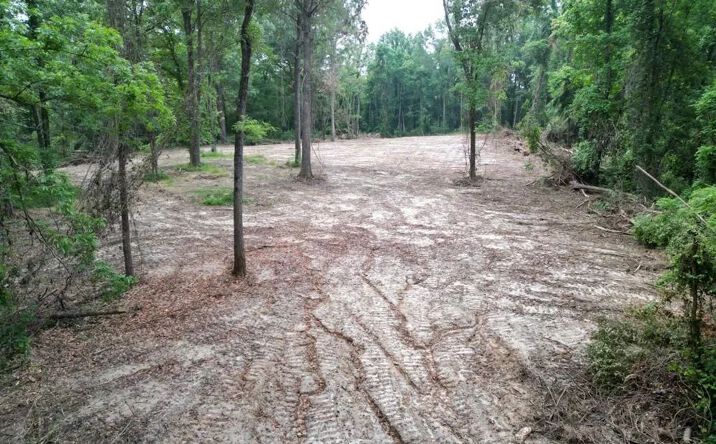 Pictures of Land property located at 3 Old Hamburg Roxie Road NW, 70721, MS 39661 for sales - image #1