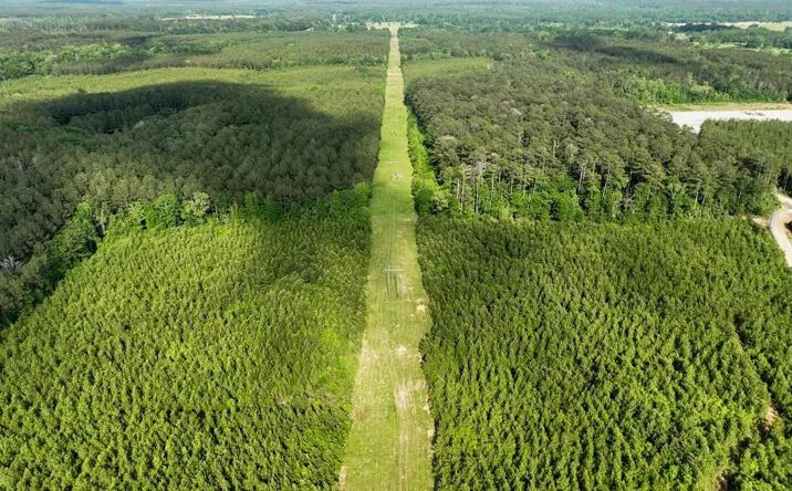 Pictures of Land property located at Bean Road, 70409, MS 39657 for sales - image #1