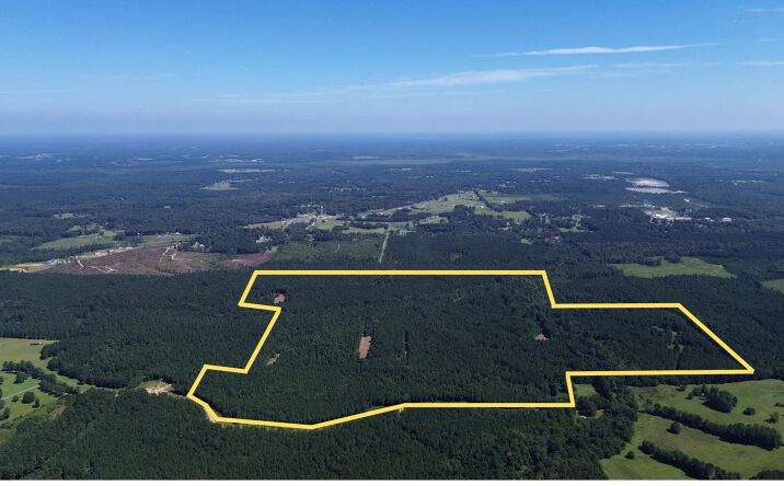 Pictures of Land property located at Ed Rutledge Road, 52469, LA 71292 for sales - image #1