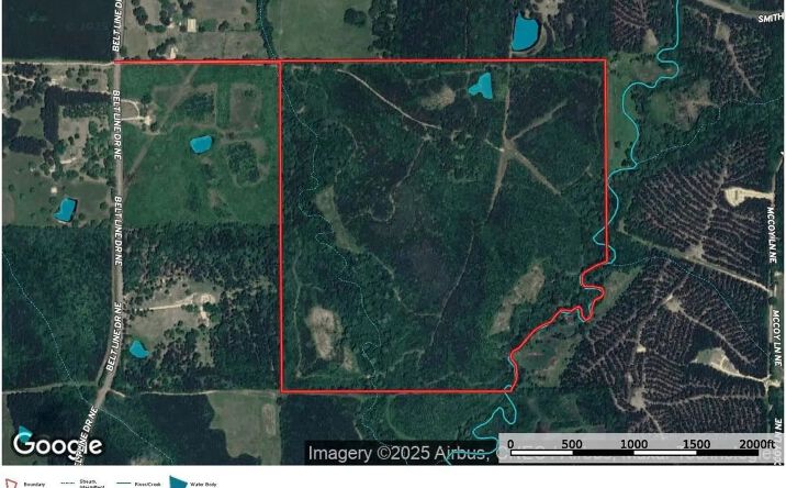 Pictures of Land property located at Beltline Drive NE, 68884, MS 39601 for sales - image #1