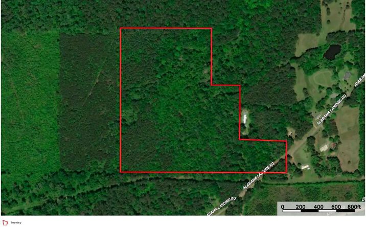 Pictures of Land property located at Alabama Landing Road, 51174, LA 71260 for sales - image #1