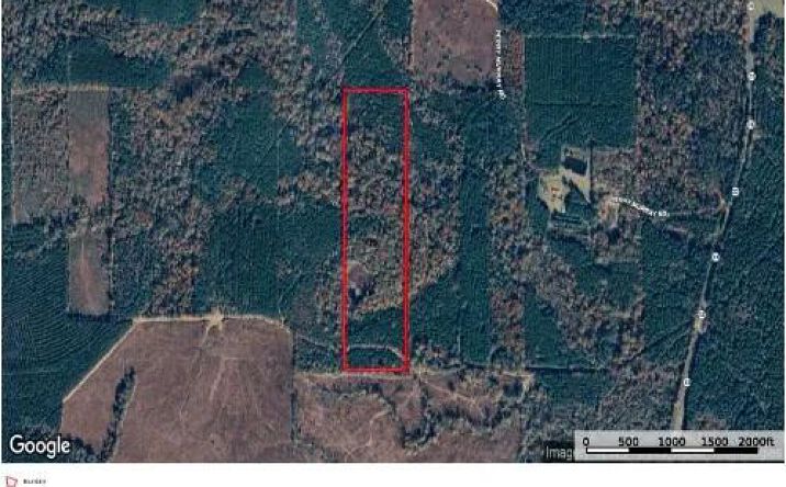 Pictures of Land property located at Lynn Wheelis Road, 51174, LA 71260 for sales - image #1