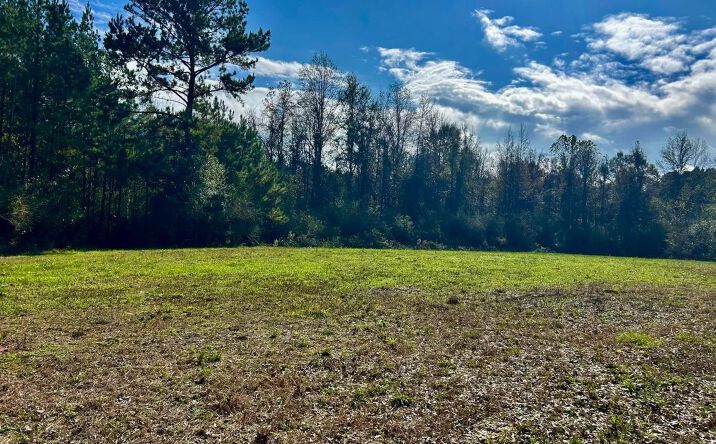 Pictures of Land property located at Watts Lane NW, 68884, MS 39601 for sales - image #1