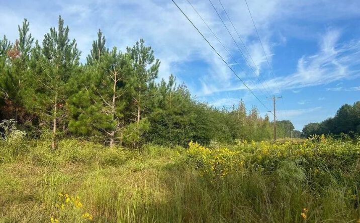 Pictures of Land property located at River Road N, 70964, MS 39648 for sales - image #1