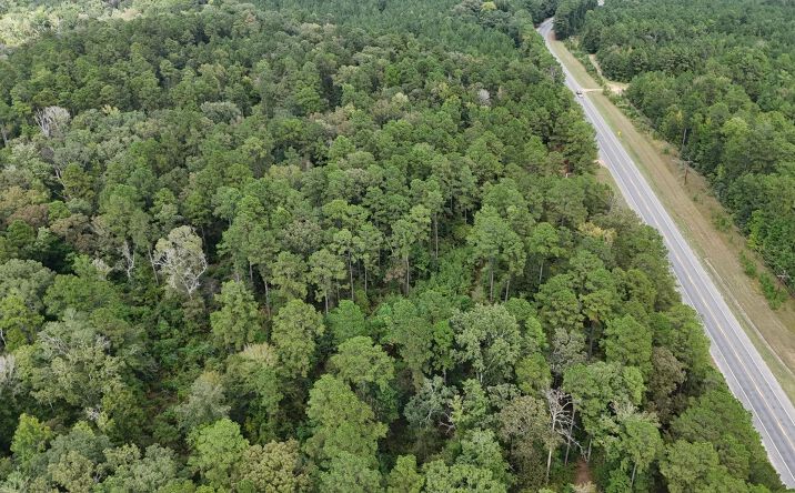 Pictures of Land property located at Ebenezer Tap Road, 52308, LA 71371 for sales - image #1