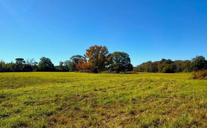 Pictures of Land property located at Emma Kelly Road, 70065, MS 39652 for sales - image #1
