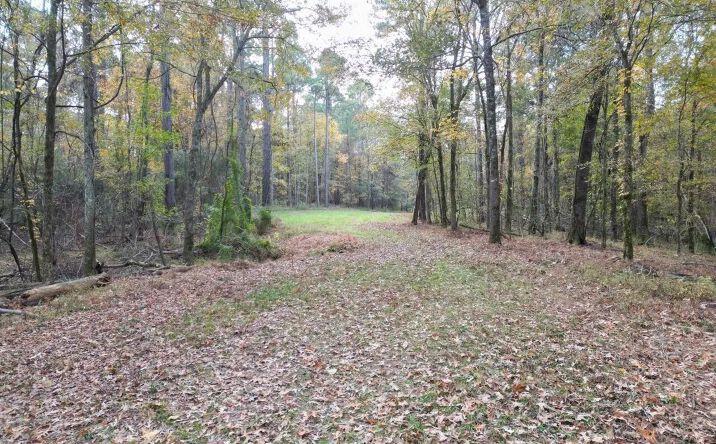Pictures of Land property located at 4 Old Hamburg Road, 70721, MS 39661 for sales - image #1
