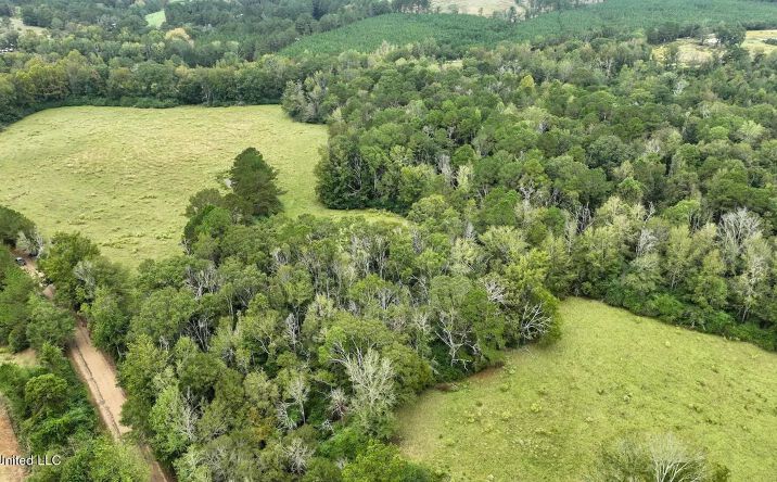 Pictures of Land property located at Airport Road, 70572, MS 39474 for sales - image #1