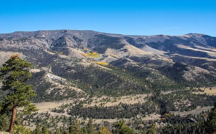 Pictures of Land property located at 7010 N Highway 149, 16726, CO 81235 for sales - image #1