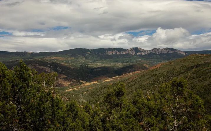Pictures of Land property located at TBD county RD 4, 17150, CO 81432 for sales - image #1