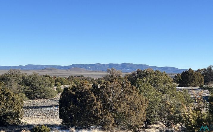Pictures of Land property located at 49 Sweetwater Dr. Road, Quemado, NM 87829 for sales - image #1