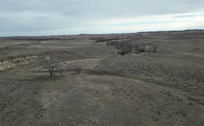 Pictures of Land property located at TBD Road 339, 78037, NE 69045 for sales - image #1