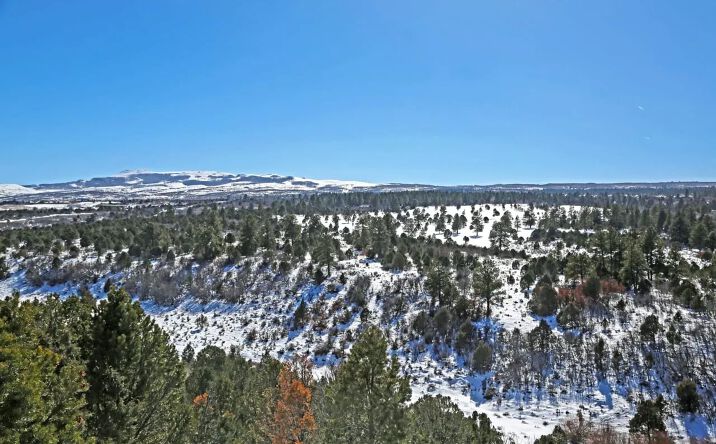 Pictures of Land property located at TBD Ponderosa 1 Government Springs rd, 16895, CO 81403 for sales - image #1