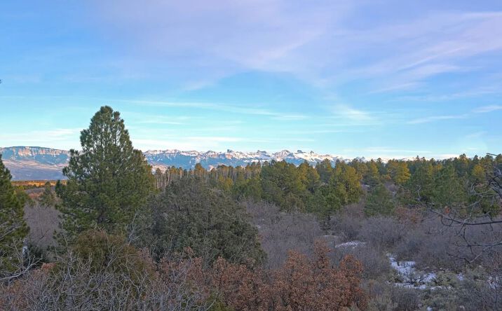 Pictures of Land property located at TBD Ponderosa 2 Government Springs Rd, 16994, CO 81403 for sales - image #1