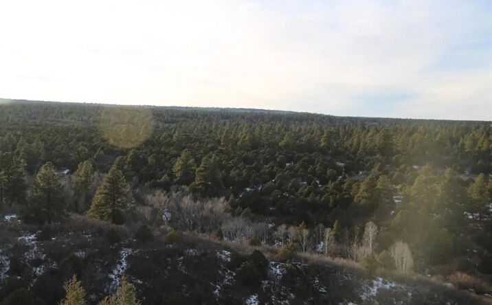 Pictures of Land property located at TBD Whispering Pines Government Springs Rd, 16994, CO 81403 for sales - image #1