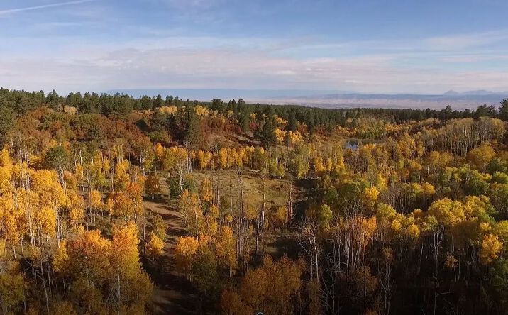 Pictures of Land property located at TBD Elk Meadows Government Springs rd, 16895, CO 81401 for sales - image #1