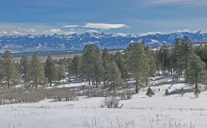 Pictures of Land property located at TBD Aspen L1 Government Springs rd, 16895, CO 81403 for sales - image #1