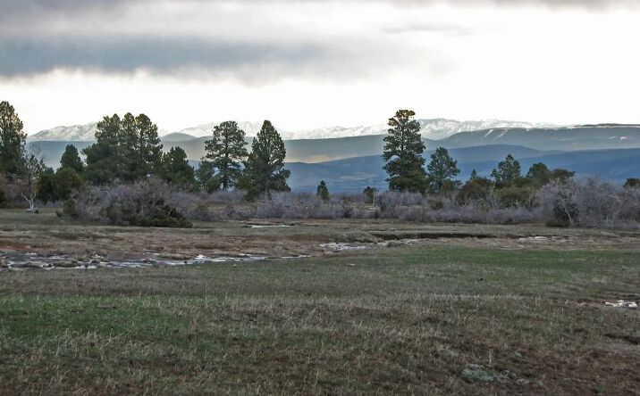 Pictures of Land property located at TBD Homestead Government Springs rd, 16895, CO 81403 for sales - image #1