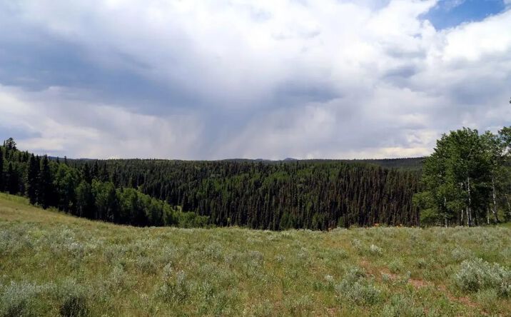 Pictures of Land property located at Big Blue Little Blue Creeks rd, 16514, CO 81230 for sales - image #1