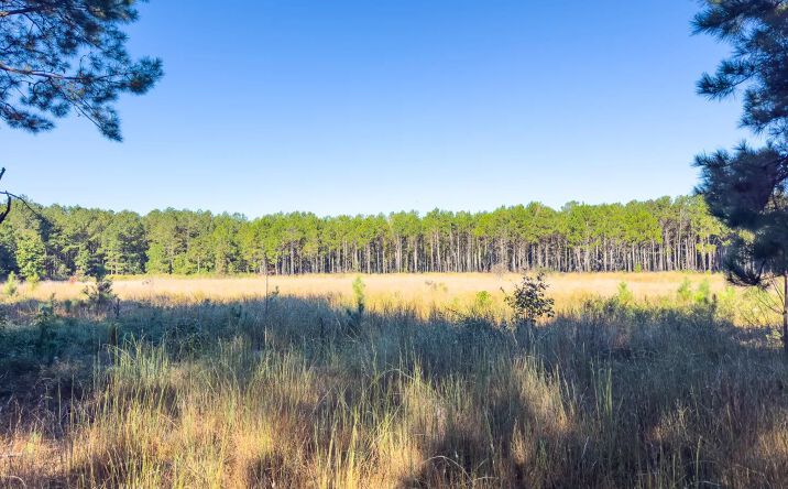 Pictures of Land property located at 0 Penn Ln., 31377, GA 30830 for sales - image #1