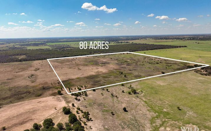 Pictures of Land property located at TBD Private Road, 128627, TX 76471 for sales - image #1