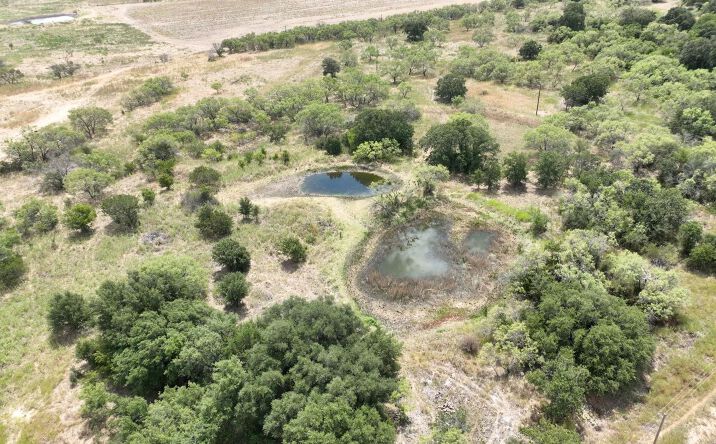 Pictures of Land property located at TBD CR 428, 128627, TX 76471 for sales - image #1